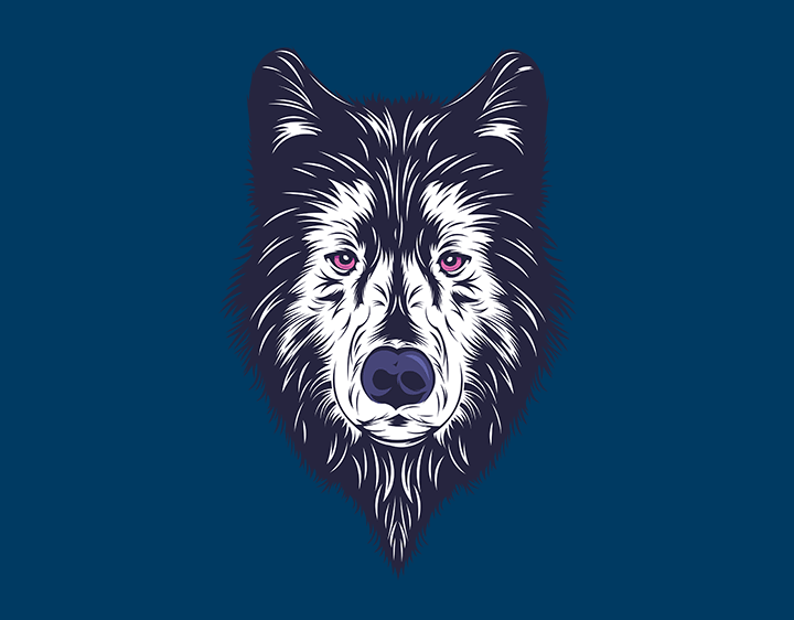 Blue wolf t-shirt