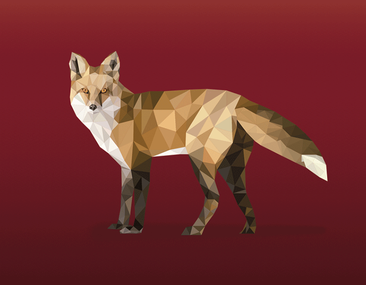 polygon fox t-shirt