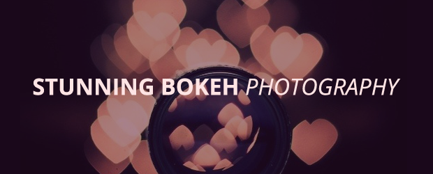 Stunning Bokeh Photography