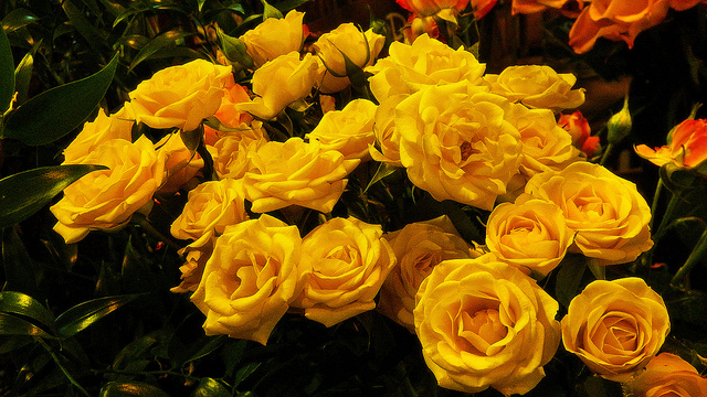 Easter Photography Inspiration