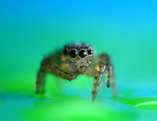 Photography Inspiration #8