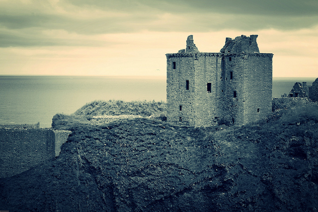 Photography Inspiration #8
