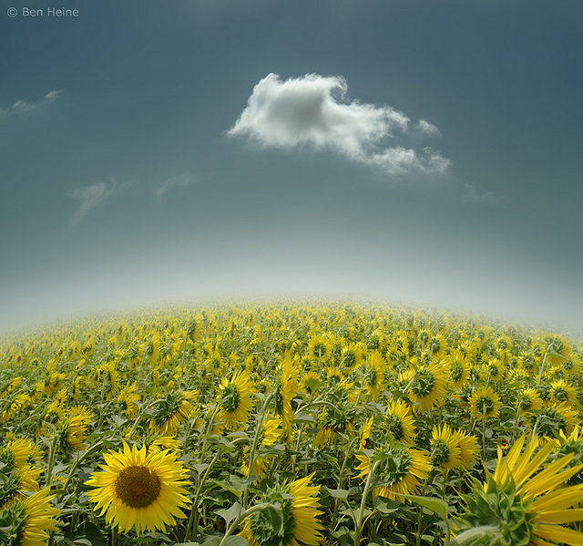 Photography Inspiration #2