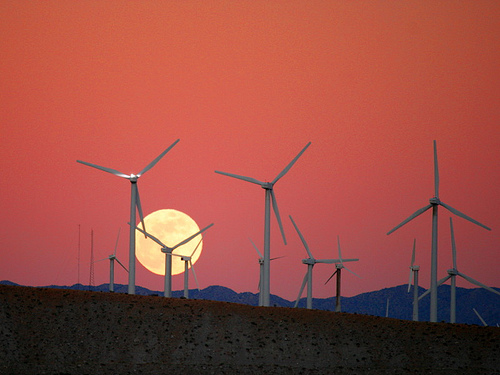 Photography Inspiration #2