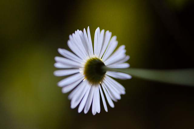 Photography Inspiration #9