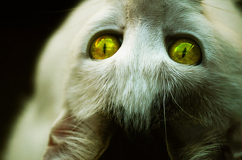 Photography Inspiration #2