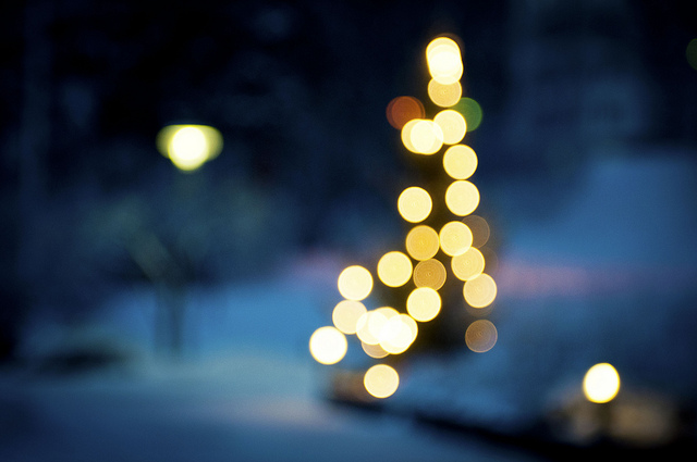 Stunning Bokeh Photography