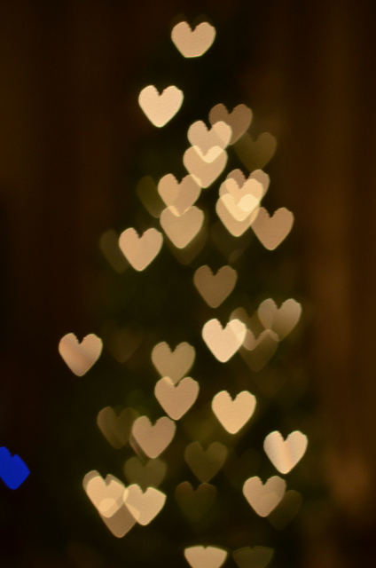 Stunning Bokeh Photography