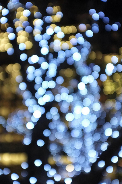 Stunning Bokeh Photography
