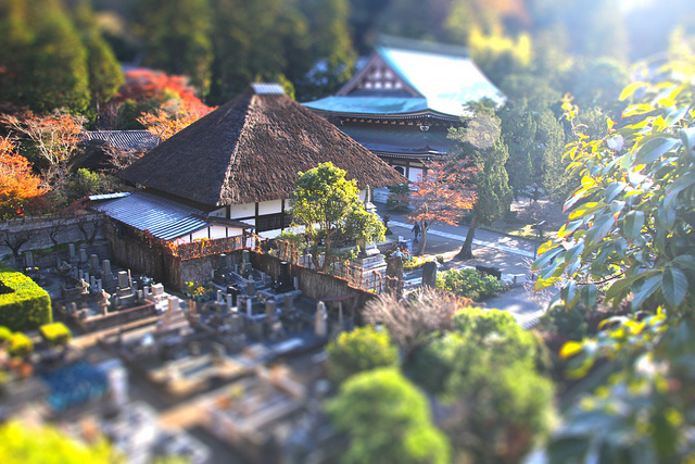 Tilt Shift Photography Inspiration