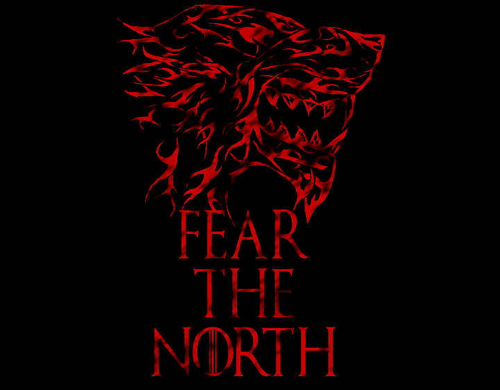 fear the north t-shirt