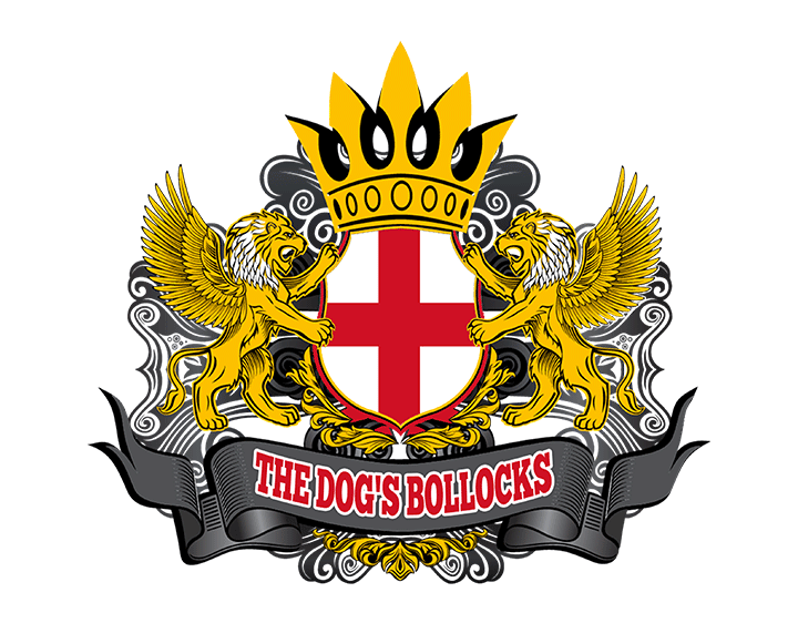 ENGLAND - THE DOGS BOLLOCKS t-shirt