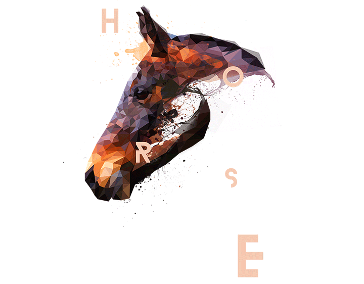 Broken Horse by roxycolor