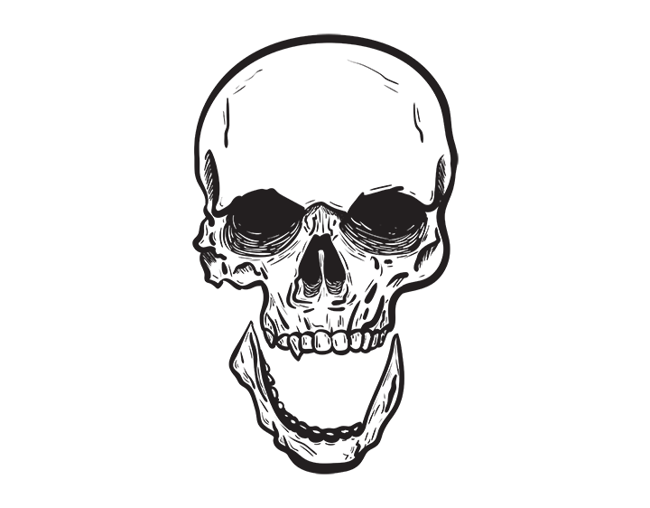 Skull by bevilaquastudio