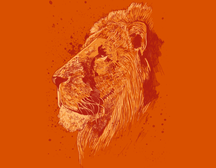 The Lion by HKJS