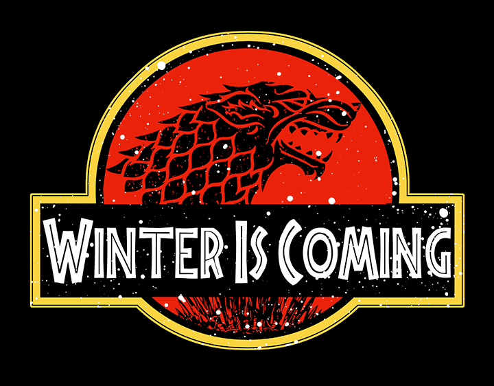Winter is coming t-shirt