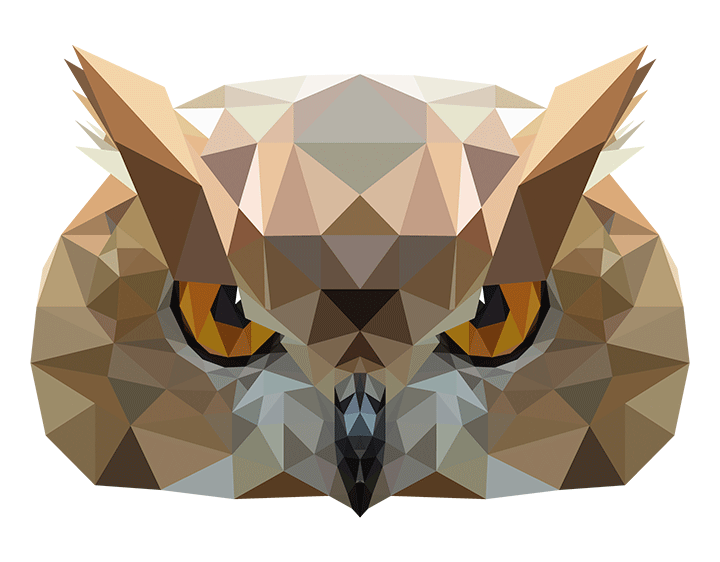 Owl_Head by KoDeBruin