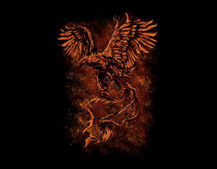 Phoenix t-shirt