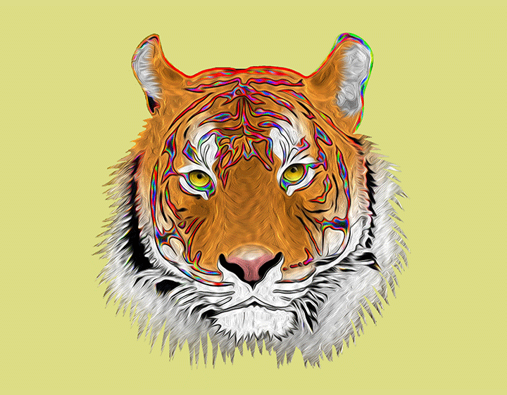 enchanted tiger t-shirt