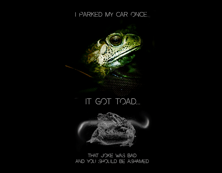 You Got Toad t-shirt