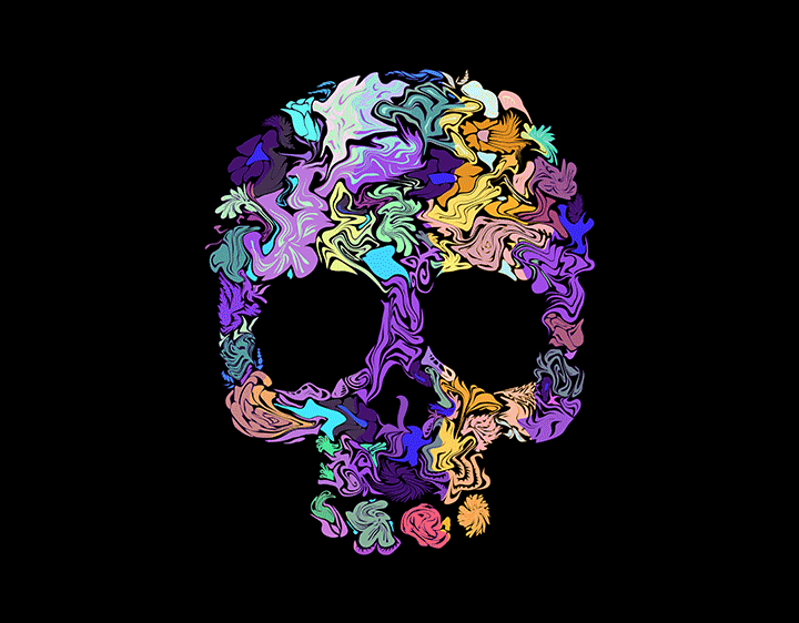 Skull by Ali Desidero