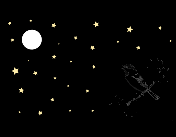 star night by chandana