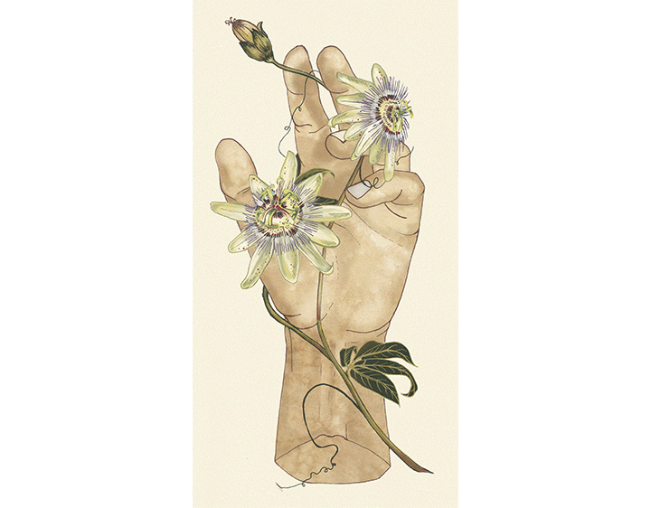 Hand I by marilynf