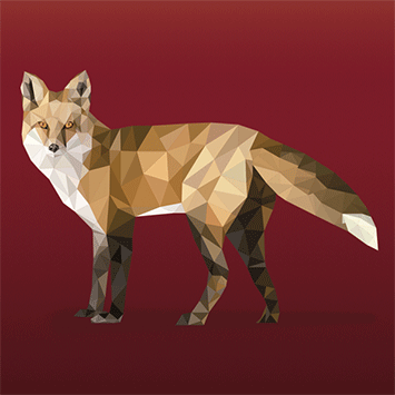 polygon fox