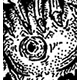 cycoblast