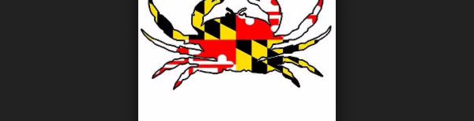 Graphic Tide Artist tyquan1026